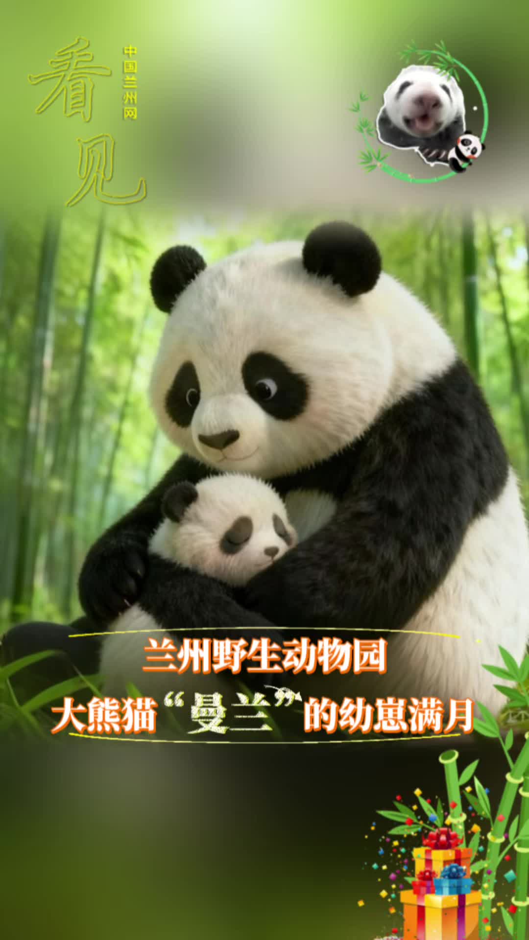 ��Ҋ���m��Ұ����(d��ng)��@����؈�����m�������̝M��